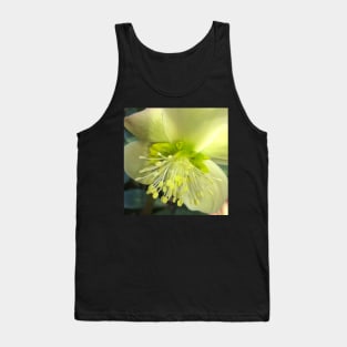 The Shining and Tender Winter Yellow Hellebore Tank Top